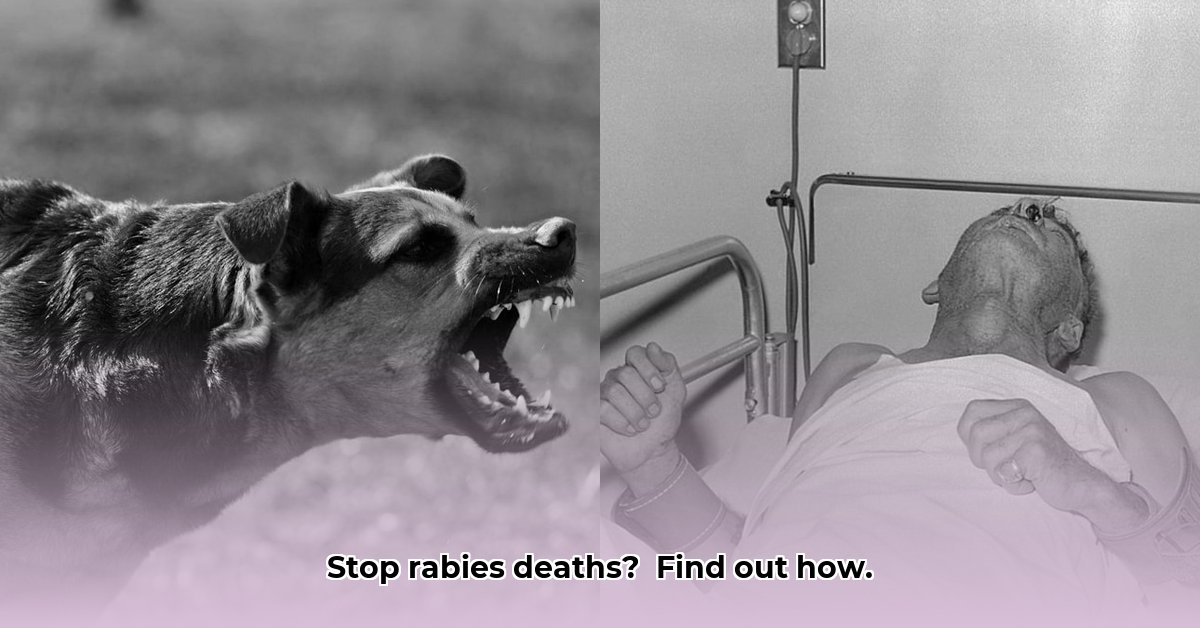 rabies-virus